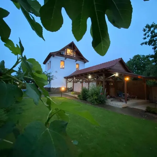 Amazing Cottage Home, hotel en Sînnicolau de Munte