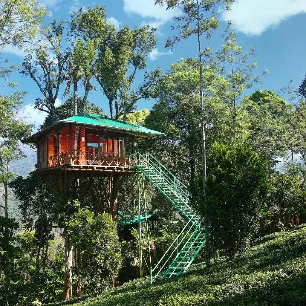 Dream Catcher Plantation Resort, отель в городе Муннар