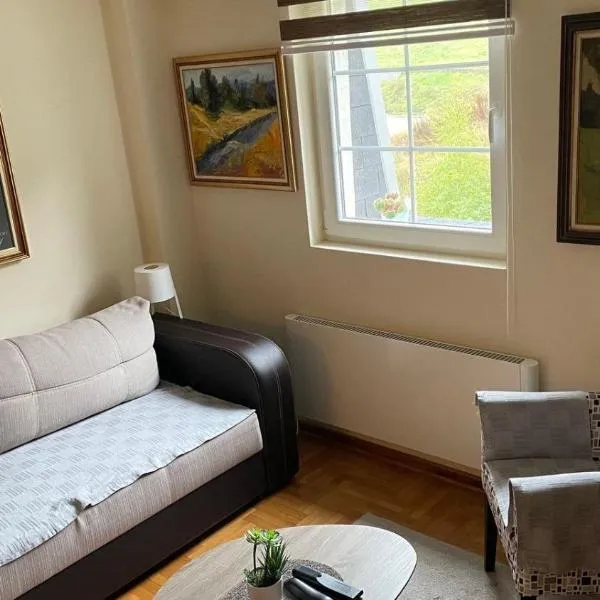 Sunčani Apartman，位于布尔泽策的酒店