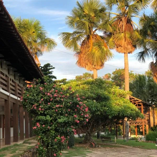 Pousada das Palmeiras, hotel in Posse