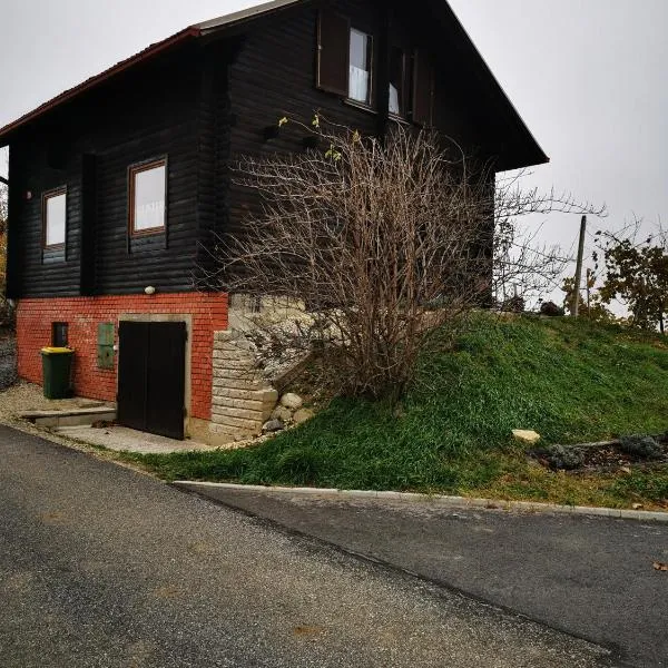 Apartma med vinogradi, hotel in Črenšovci