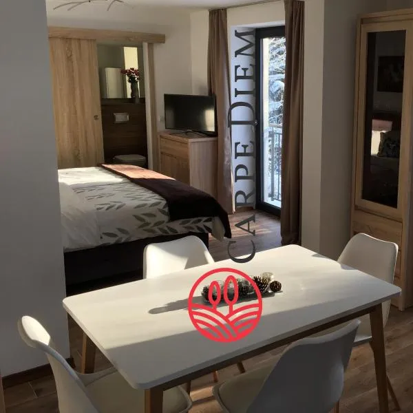 Apartamenty Carpe Diem, hotel in Ustroń