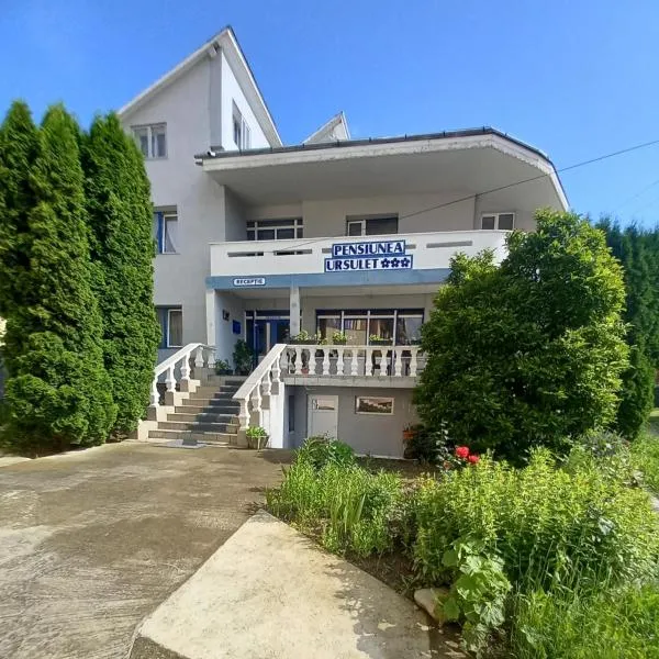 Pensiunea Ursulet, hotel v destinaci Piatra Neamţ