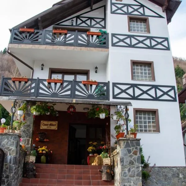 Casa Albert Sinaia, hotel in Sinaia