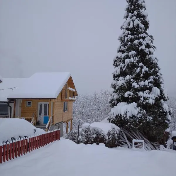 Apartman Čivović, Hotel in Rudnik
