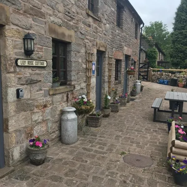 Waterside Cottages, Peak District & Alton Towers, hotell i Waterhouses