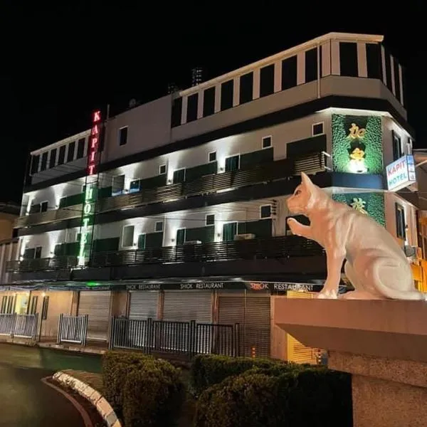 Kapit Hotel, hotel v destinaci Kučing