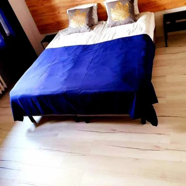 VISTULA two-bedroom Apartment, ξενοδοχείο σε Πλοκ