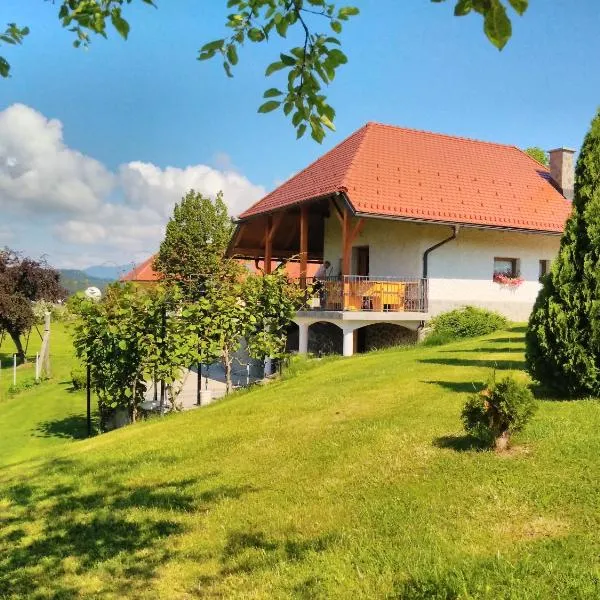 Holiday Home Dobrotin, hotel i Vojnik