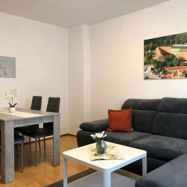 Gäste- & Ferienwohnungen in Sonderhausen Güntherstraße 25, viešbutis mieste Zondershauzenas