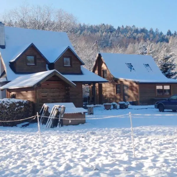 Rancho Vaquera, hotel in Ścinawka Dolna