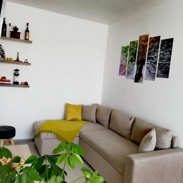 Apartament Raluca, hôtel à Topliţa