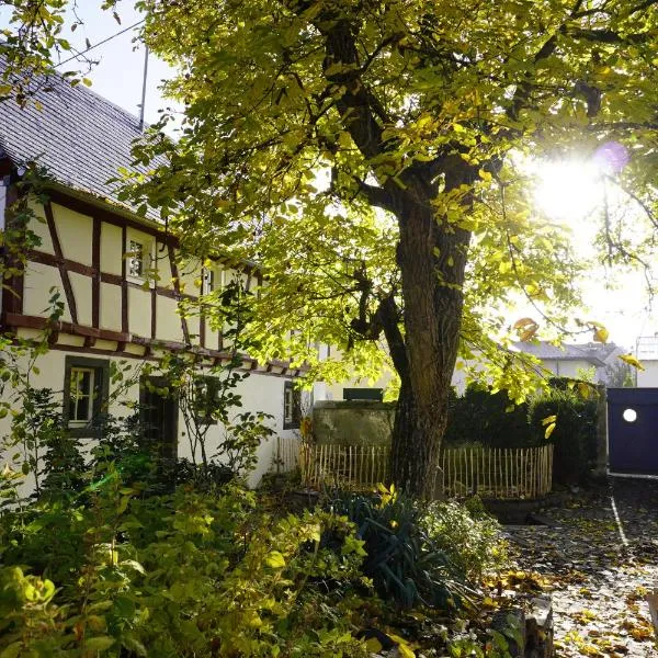 Hedwigs Hexenhäuschen, hotel en Kruft