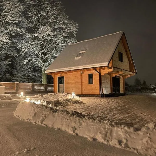Domki Zdrojowe、ロンデク・ズドルイのホテル