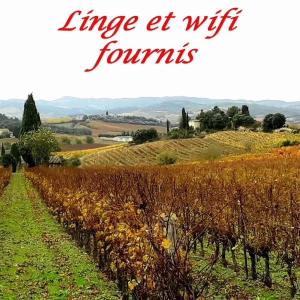 La Languedocienne appartement climatisé centre ville wifi inclus, hotel a Limoux