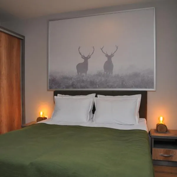 Hashtag Studio Borovets, hotel i Borovets