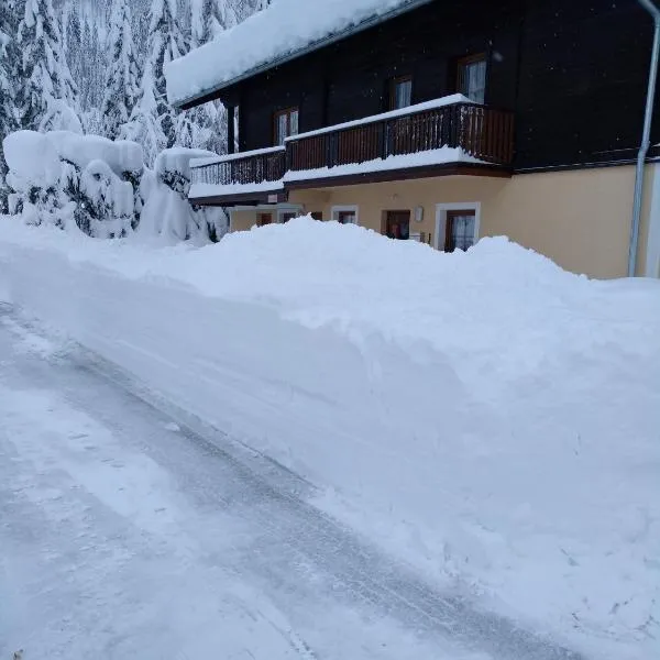 Appartment Sandra Obkircher, hotel in Sankt Veit in Defereggen