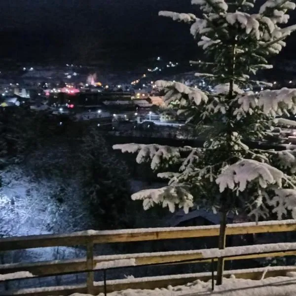 Panoramic Chalet, hotell i Vişeu de Sus