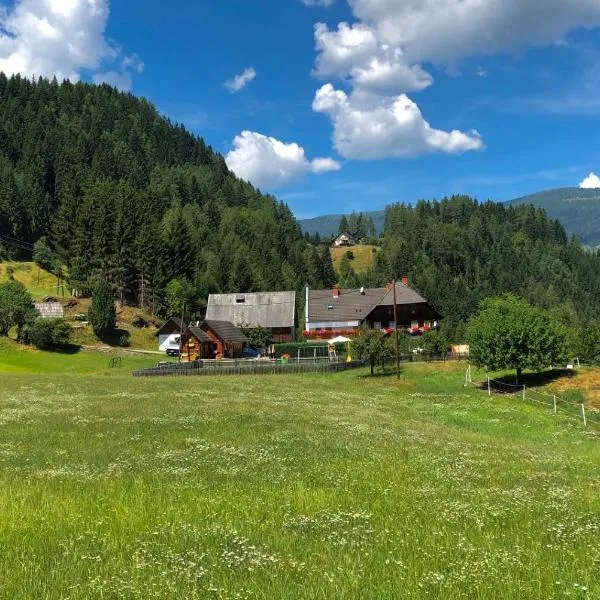 Haus Edlinger inclusive Murau Sommer Gäste Card, hotel v destinaci Sankt Georgen ob Murau