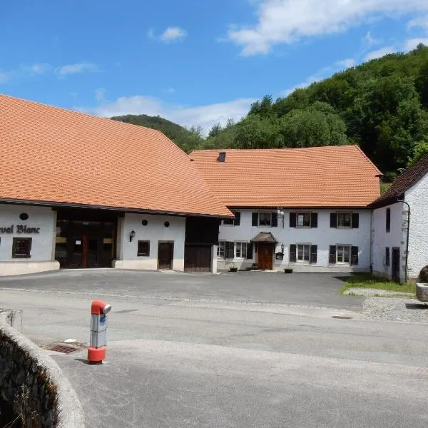 Au Cheval Blanc, hotel in Glovelier