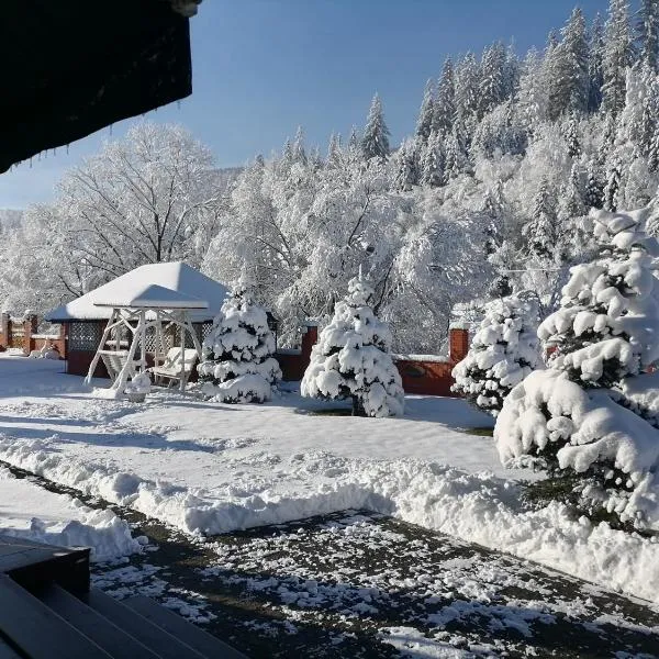 Chalet Zolota Pidkova, hotel v destinaci Slavske