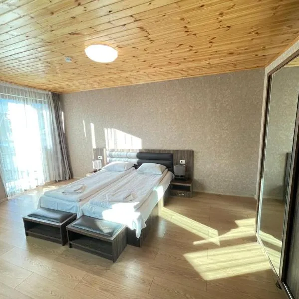Hotel Elite House, hôtel à Mestia