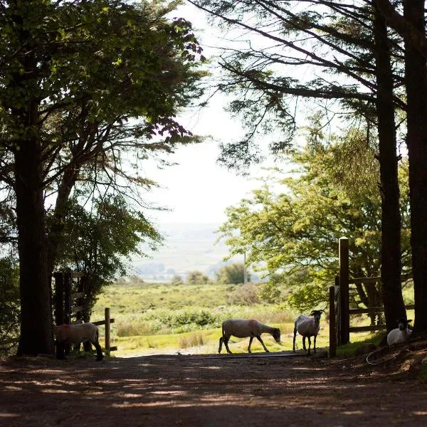 Wheal Tor Hotel & Glamping, hotel v destinaci Liskeard