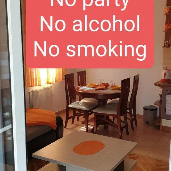 Apartman Anja, hotel v destinaci Novi Sad
