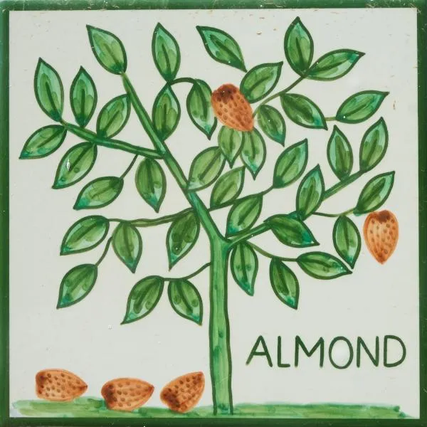 Casa Monte Cristo Apartments - Almond, hotel in Lagos