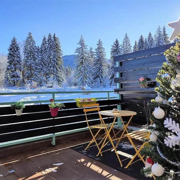 The Evergreen Nest - Silver Mountain, hotel in Poiana Brasov