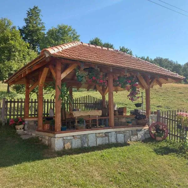 Domaćinstvo Sindžirević, hotel v destinaci Nova Varoš