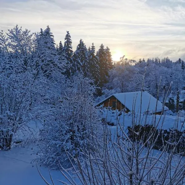 Ferienwohnung "Am Wald", hotel di Schmiedefeld am Rennsteig