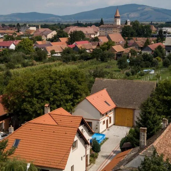 Otto's Guesthouse, hotel en Dobîrlău