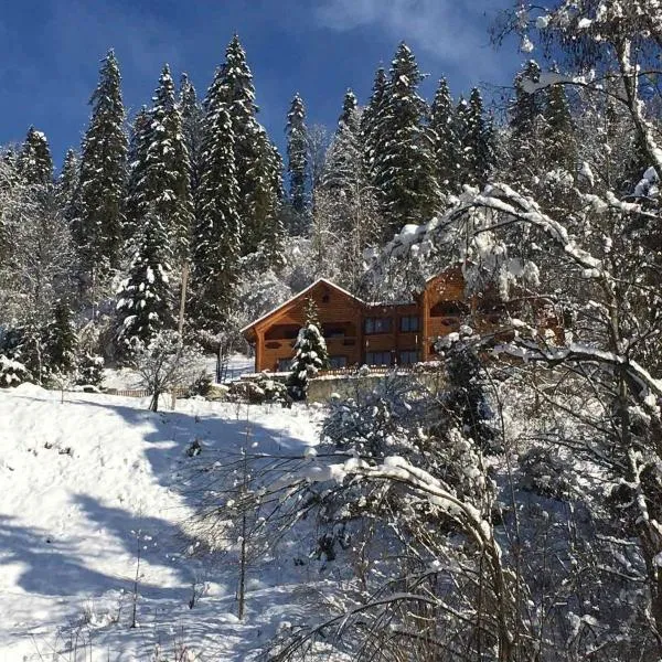 Privatna Sadiba Chalet, hotel v destinaci Orjavčyk