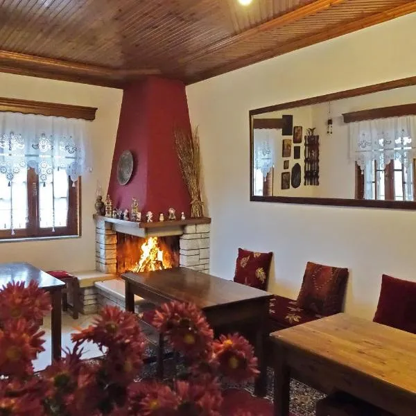 Traditional Guesthouse Alkistis, ξενοδοχείο σε Zagori