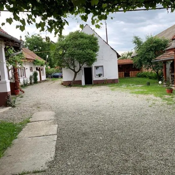Casa Mari, hotel v destinaci Cîrţişoara