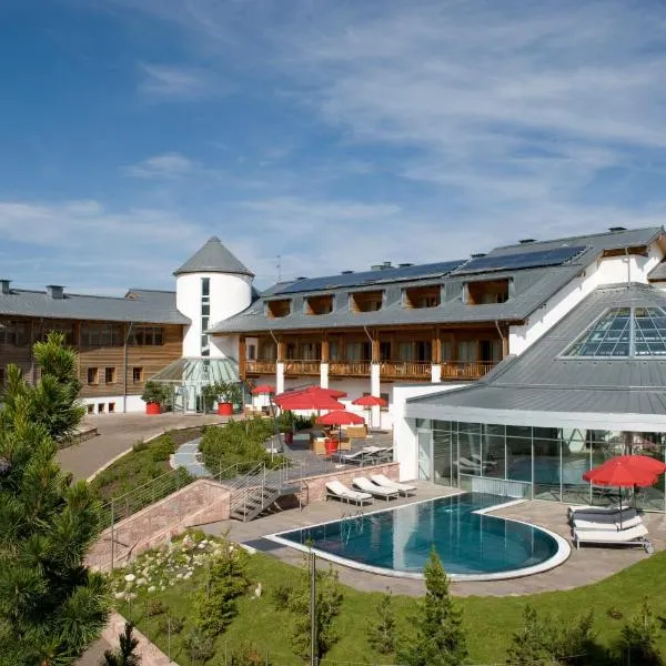 賽瑟阿爾姆尤塔勒酒店，阿爾卑斯休斯山的飯店