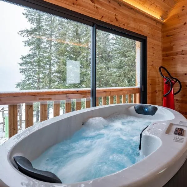 Chalet Pom'Pin, hotel v destinácii Mont-Dore