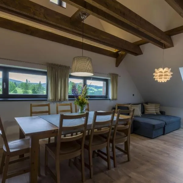 Apartmán pod Pustým vrchem, hotel in Říčky