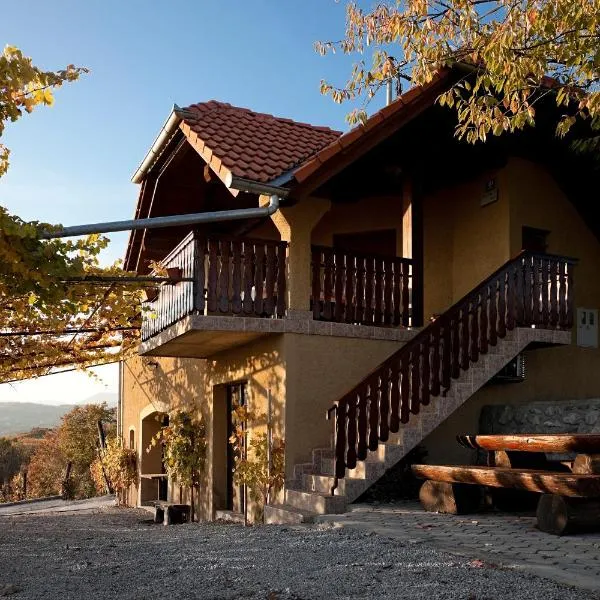 Vineyard Cottage Brodaric, hôtel à Metlika