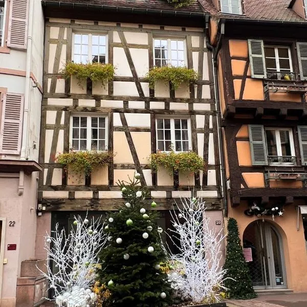 Les Suites Du Cygne, hotel v destinácii Colmar