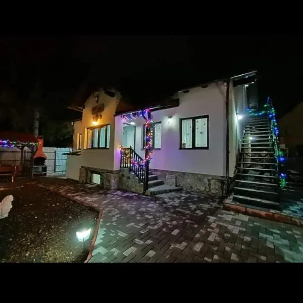 Casa Andy, hotel v destinaci Buşteni
