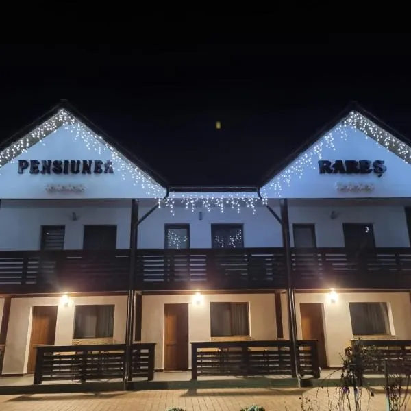 Pensiunea Rares, hotel in Tismana