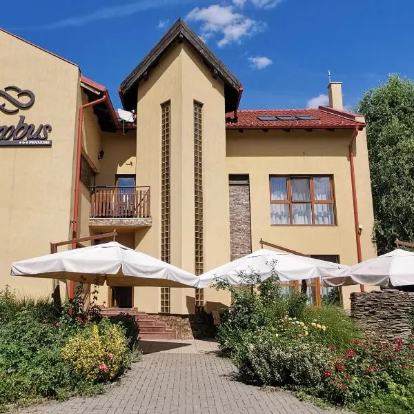 Pensiunea Nimbus – hotel w mieście Zimandcuz