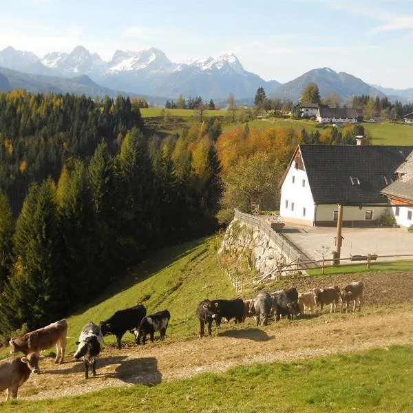 Familienbauernhof Imitz, Ferienwohnung, hotel v Spital am Pyhrnu