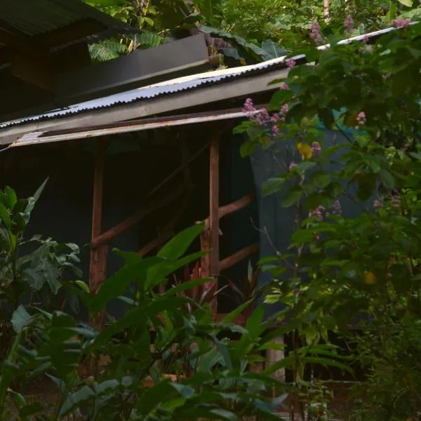 Corcovado Guide House, hotel v destinaci Barrigones