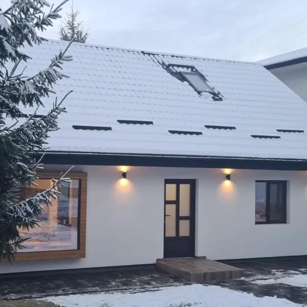 Casa Sebi, hotel v destinaci Vatra Dornei