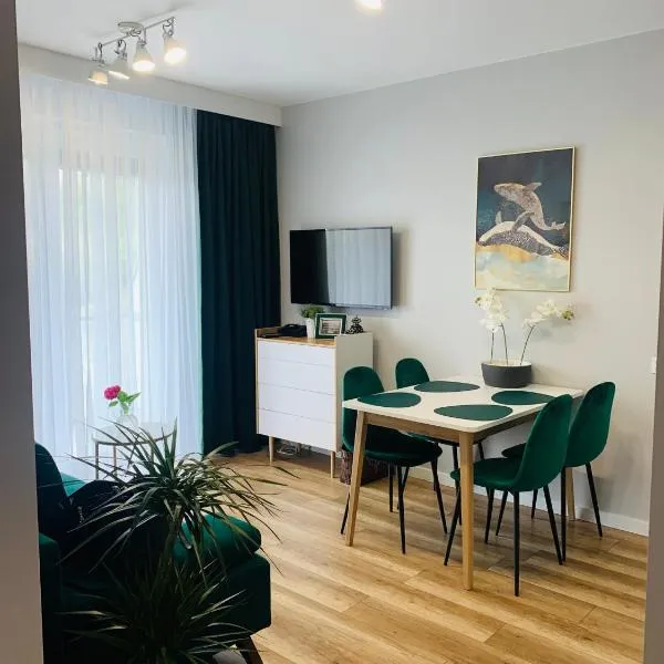 Apartament Stemar z dyżym baloknem, hotel di Gorzów Wielkopolski