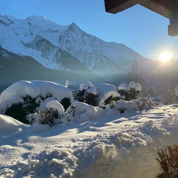Appartement Chalet Les hauts du soleil, hotel in Chamonix-Mont-Blanc