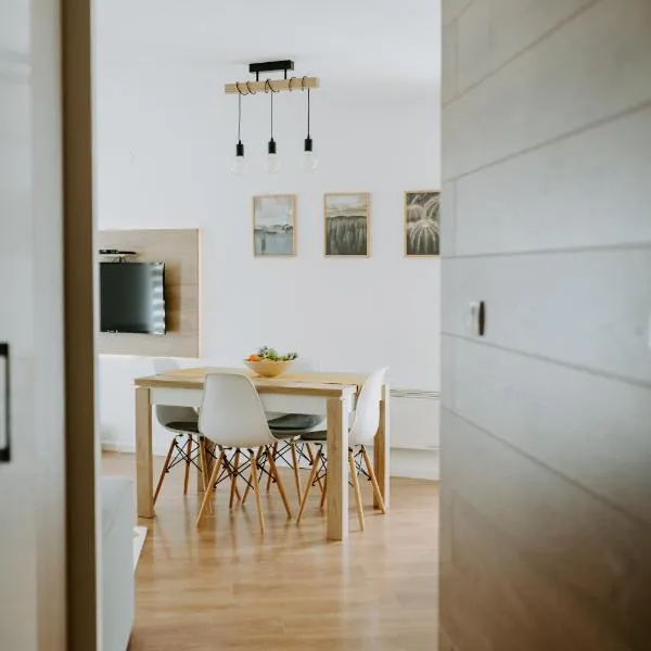 Apartman SREBRNA PAHULJA, готель у місті Дівчибаре